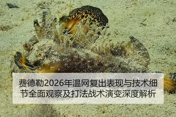 费德勒2026年温网复出表现与技术细节全面观察及打法战术演变深度解析